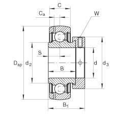   INA / Schaeffler GRAE20-NPP-B