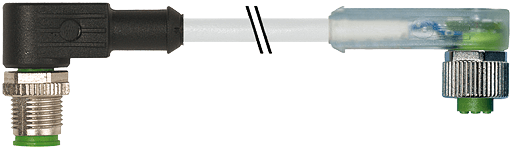   Murrelektronik 7000-40441-2550200