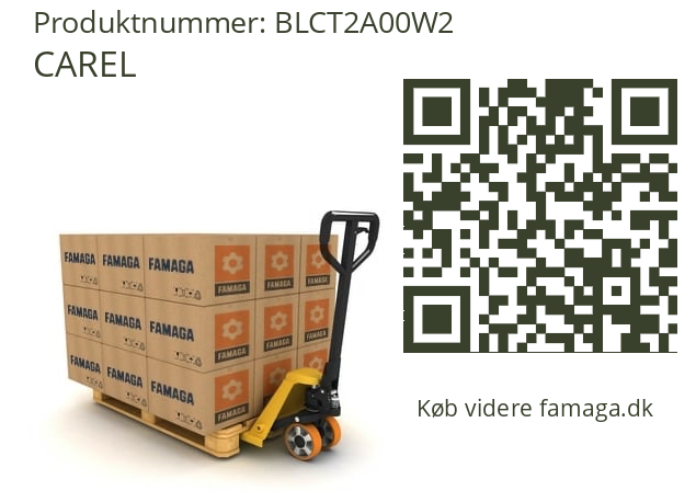   CAREL BLCT2A00W2