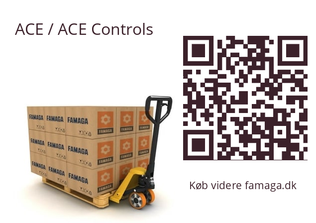  EB100-500-F ACE / ACE Controls 