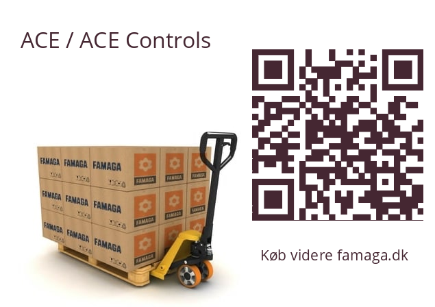  EB100-600-R ACE / ACE Controls 