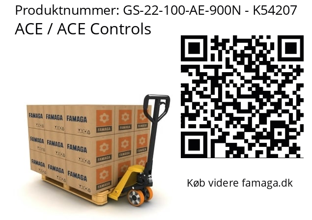   ACE / ACE Controls GS-22-100-AE-900N - K54207