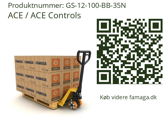   ACE / ACE Controls GS-12-100-BB-35N