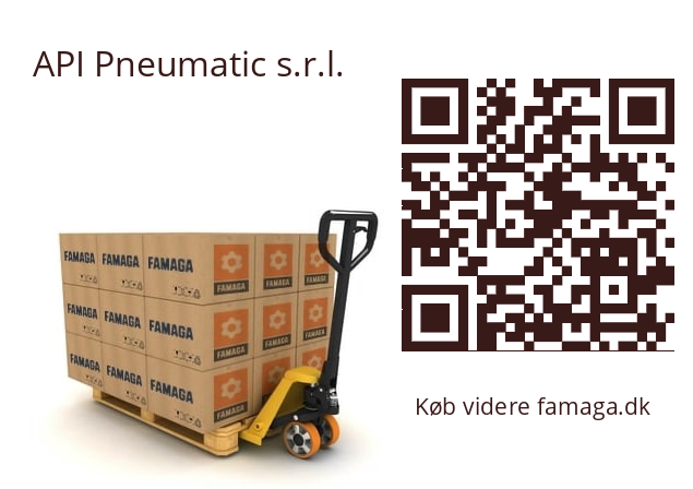  GPS API Pneumatic s.r.l. 