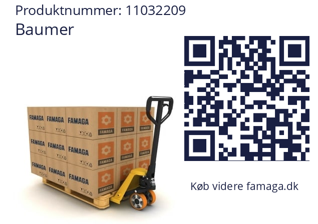   Baumer 11032209