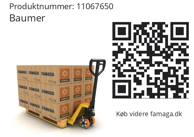   Baumer 11067650