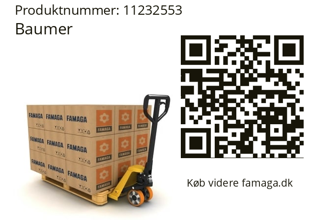   Baumer 11232553