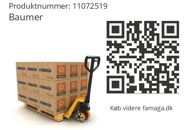  Anker kompl. für GT5.05 A 11 M ST 10V Baumer 11072519