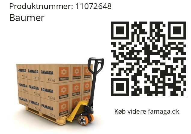  Anker kpl.- für GT/GTA/GTB9.06 A 14M 20V Baumer 11072648