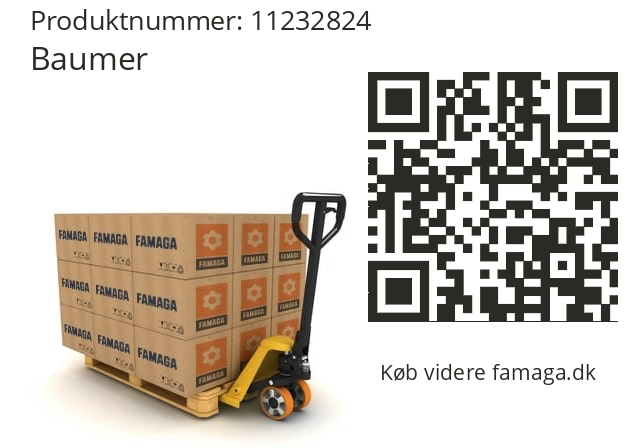   Baumer 11232824