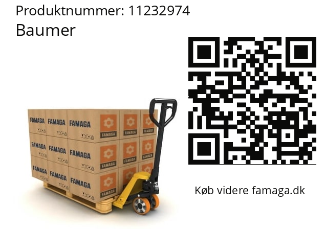   Baumer 11232974