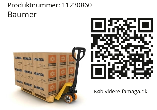   Baumer 11230860