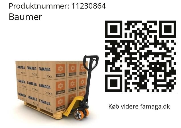   Baumer 11230864