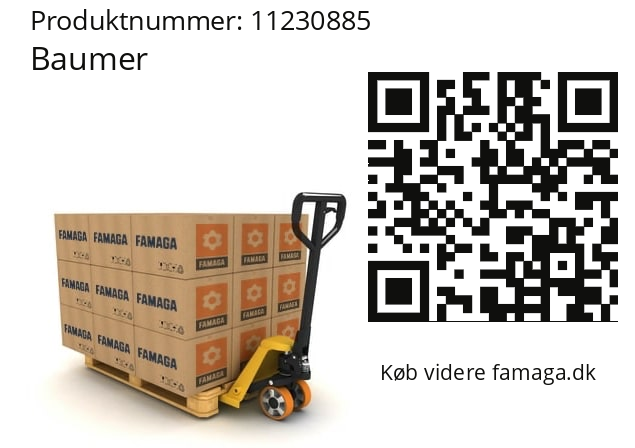   Baumer 11230885