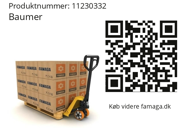   Baumer 11230332