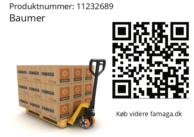   Baumer 11232689