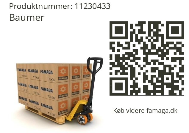   Baumer 11230433