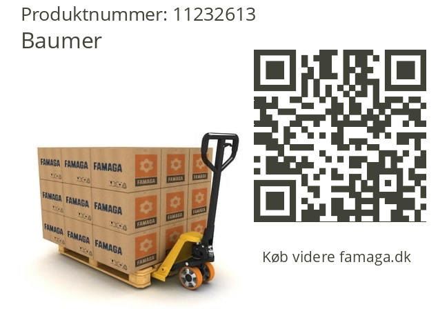   Baumer 11232613