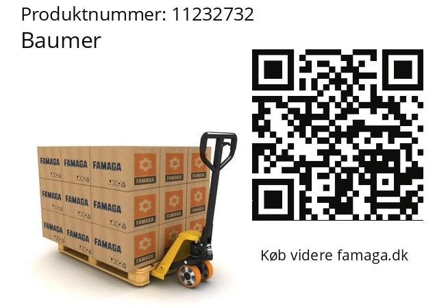   Baumer 11232732