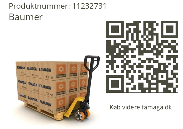   Baumer 11232731