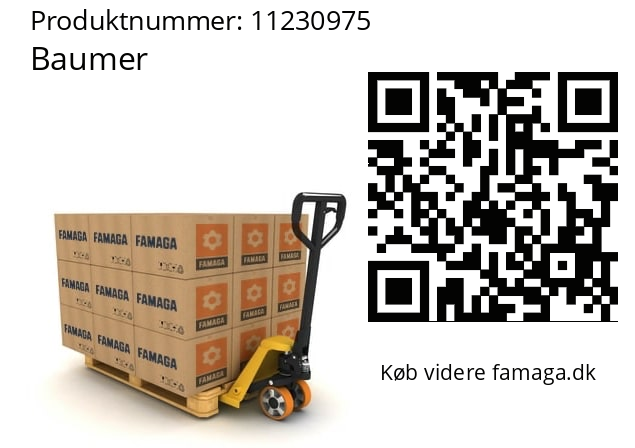   Baumer 11230975