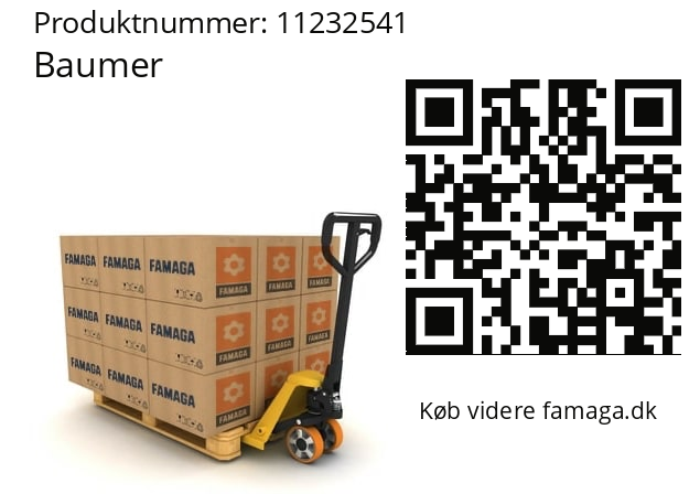   Baumer 11232541