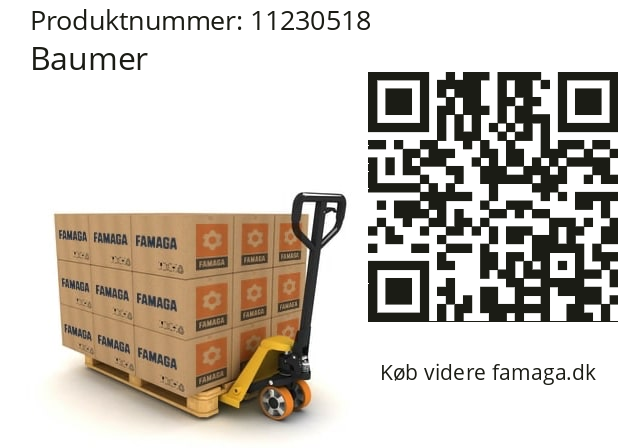   Baumer 11230518