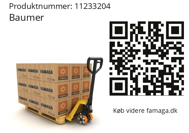   Baumer 11233204