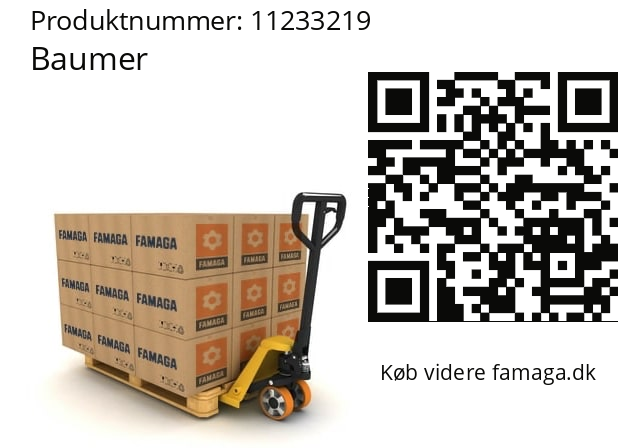   Baumer 11233219