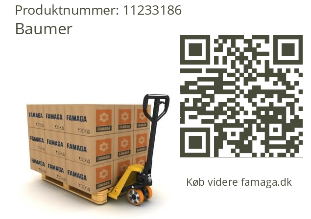   Baumer 11233186