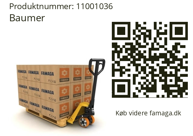   Baumer 11001036