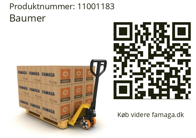   Baumer 11001183