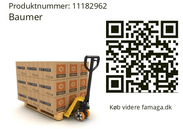  HOG10 DN 4096 TTL LR 16H7 KLK Baumer 11182962