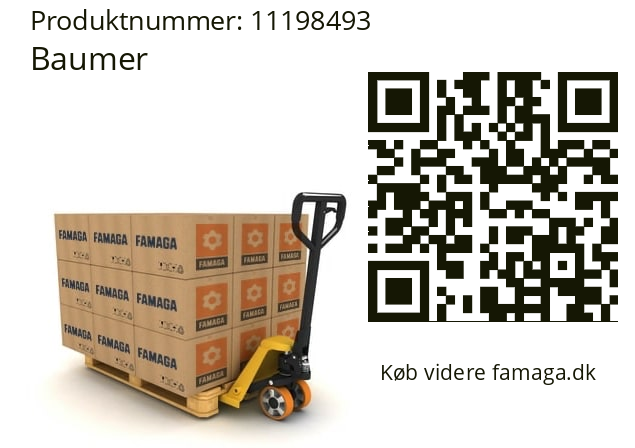   Baumer 11198493