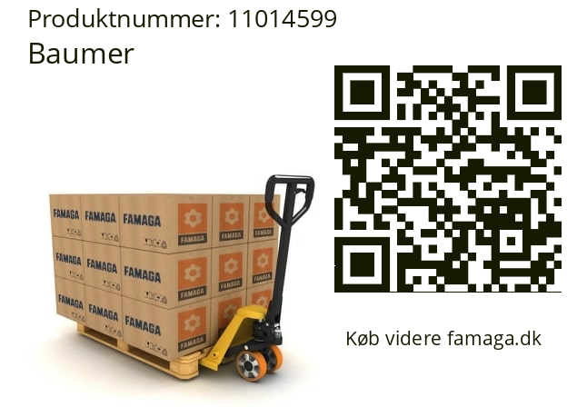   Baumer 11014599