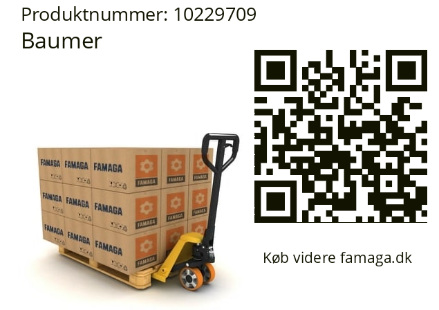   Baumer 10229709