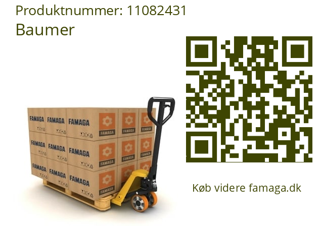   Baumer 11082431