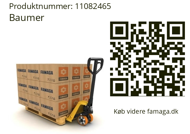   Baumer 11082465