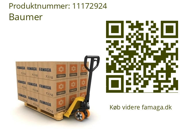  IFRM 06N1701/PL Baumer 11172924