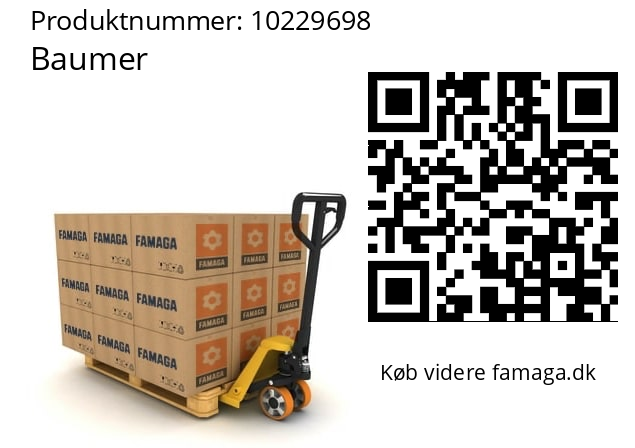   Baumer 10229698