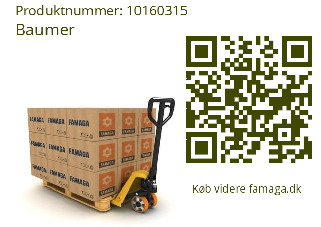   Baumer 10160315