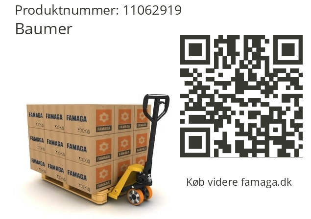   Baumer 11062919