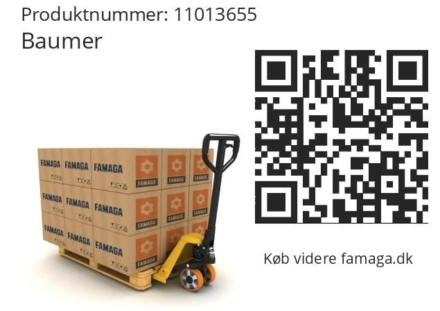   Baumer 11013655