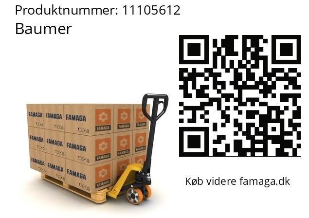   Baumer 11105612