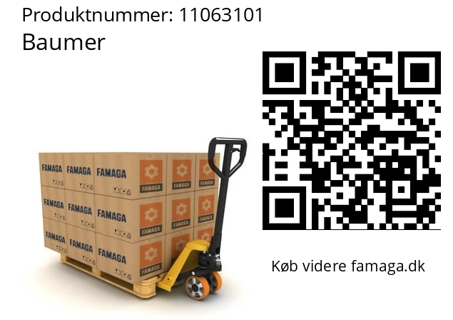   Baumer 11063101