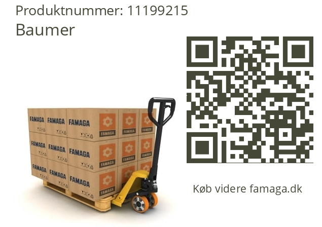  LBFI-21.020.A03020.1.4000.0 Baumer 11199215