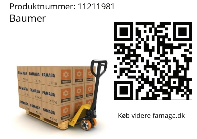  LBFI-21.020.G07020.1.4000.0 Baumer 11211981