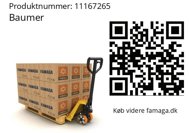  O300.ER-GW1B.72CU Baumer 11167265