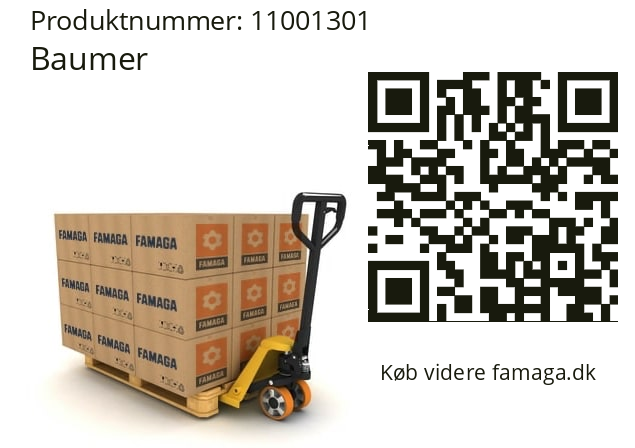   Baumer 11001301