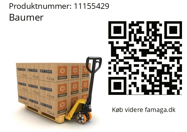  POG10 DN 300 I Baumer 11155429